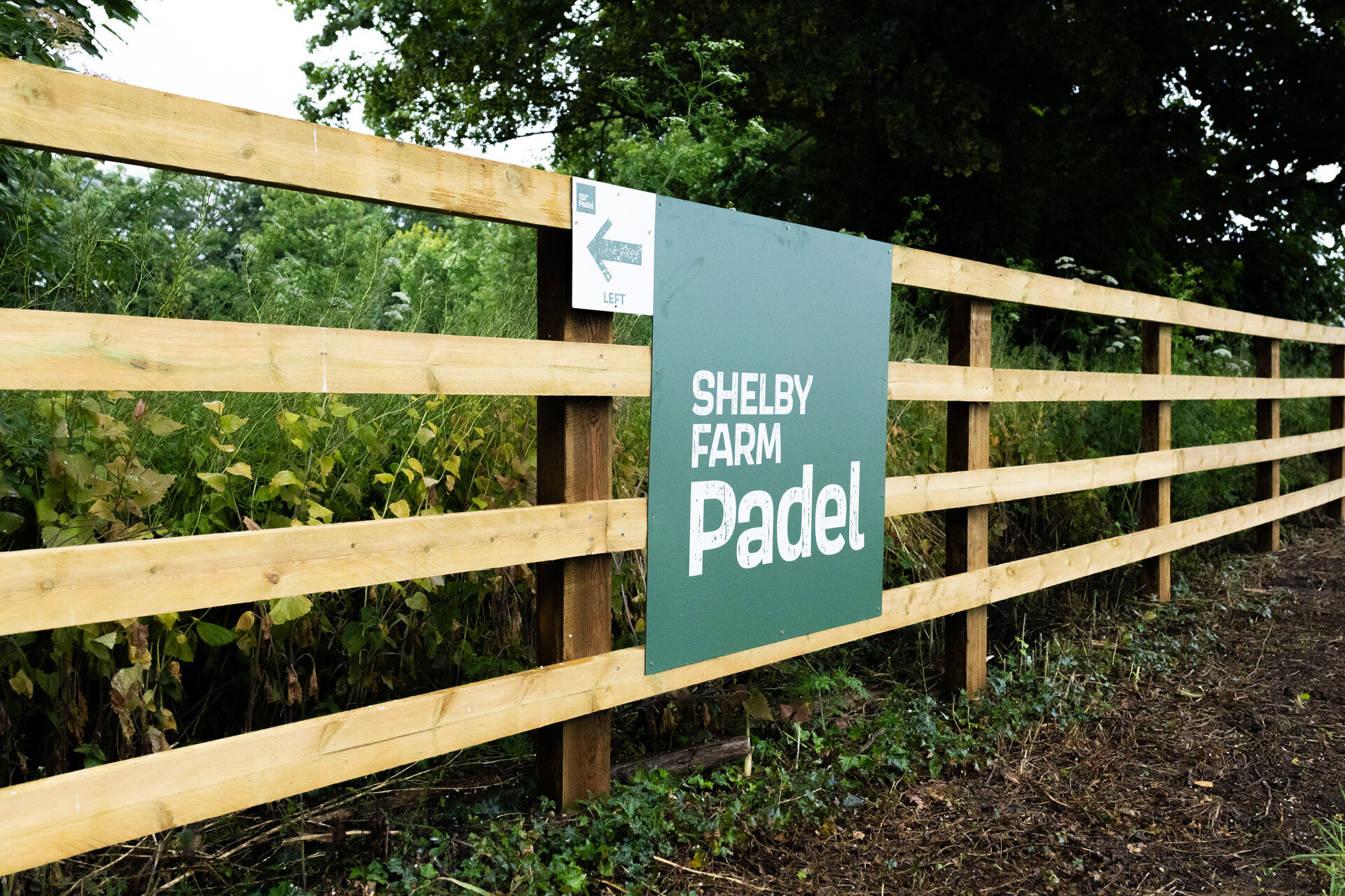 Shelby Farm 51